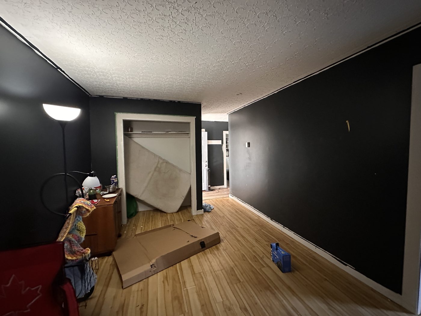 Interior painting before - black walls and trim